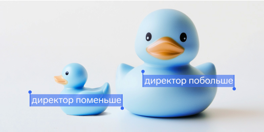 Может ли ИП назначить директора
