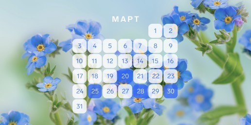 Календарь задач для ИП: март 2025 года
